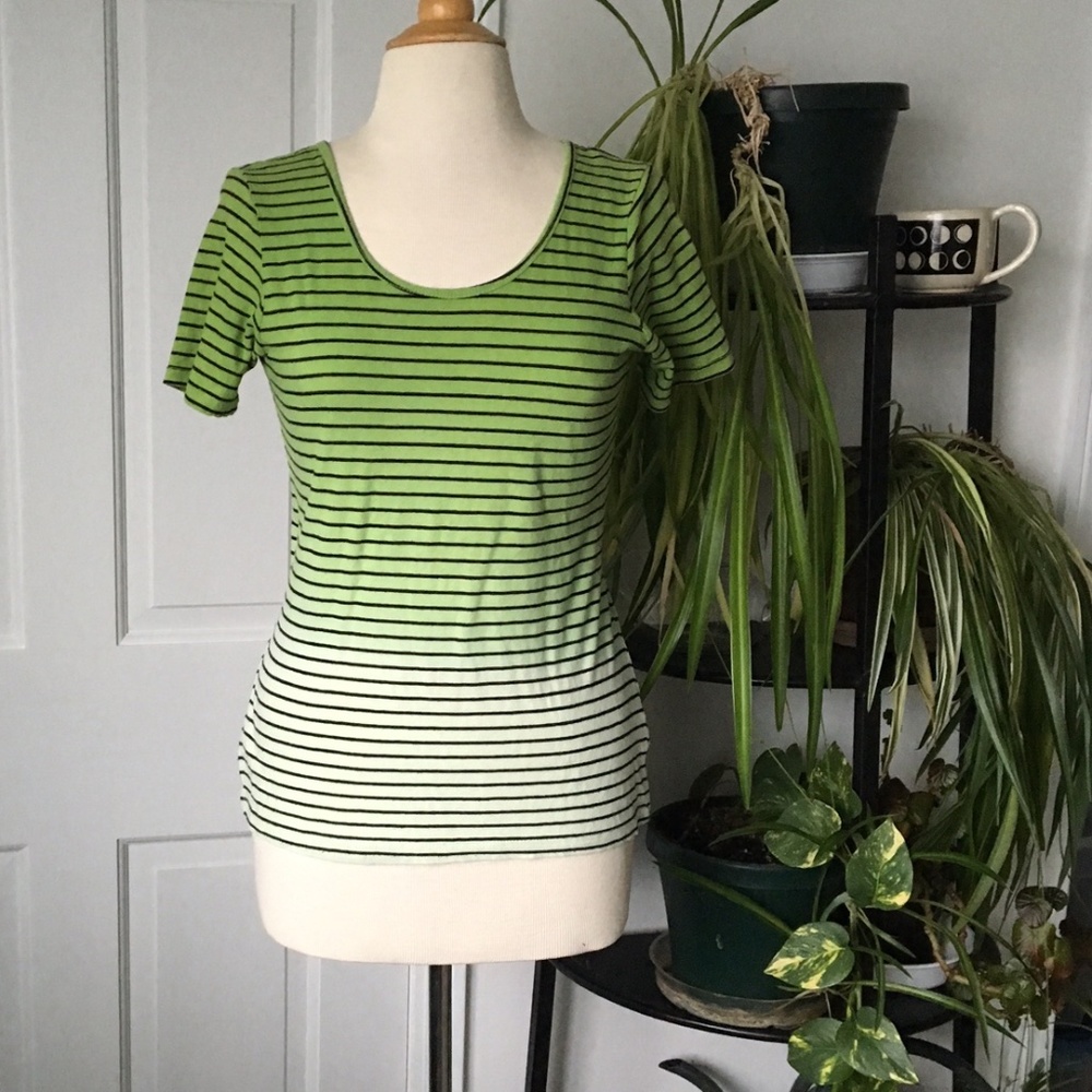 Striped Green Ombre Top